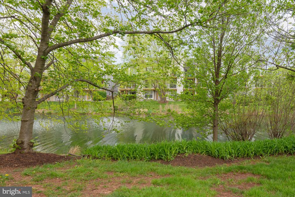 20575 SNOWSHOE SQUARE Unit: 202