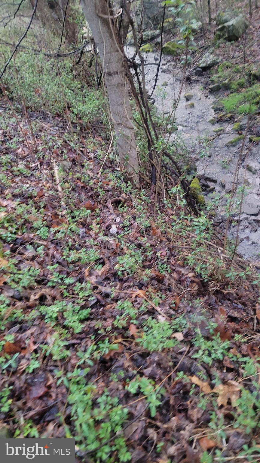 QUAKER RUN ROAD