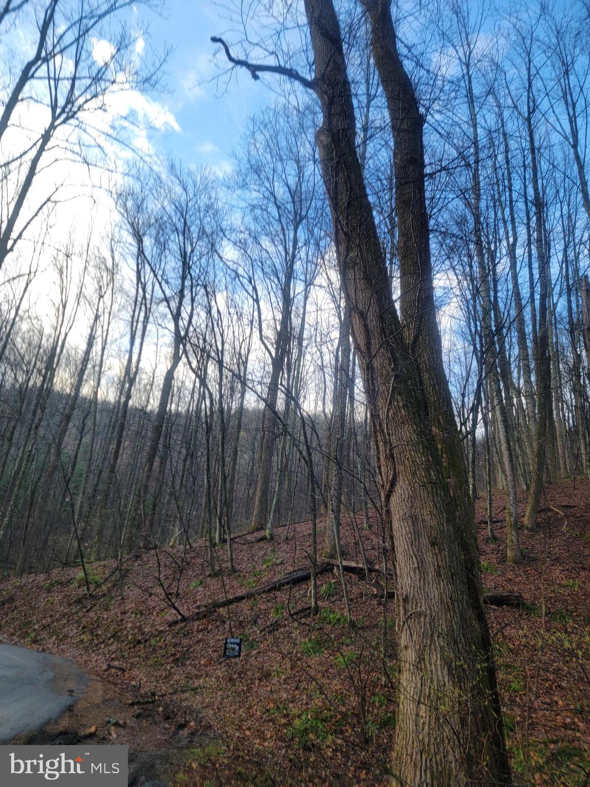 QUAKER RUN ROAD