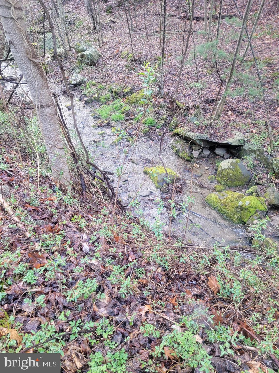 QUAKER RUN ROAD