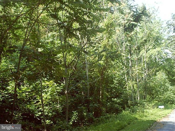 QUAKER RUN ROAD