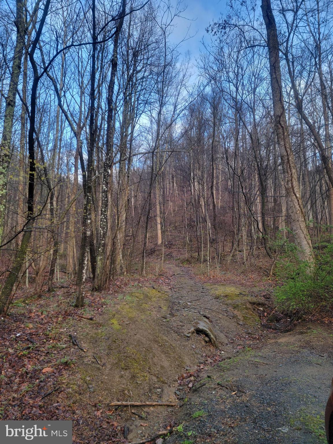 QUAKER RUN ROAD