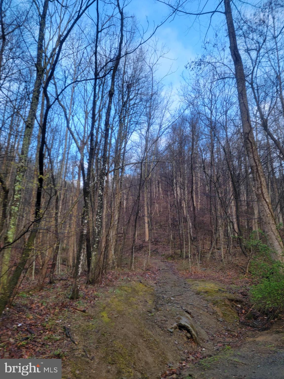 QUAKER RUN ROAD