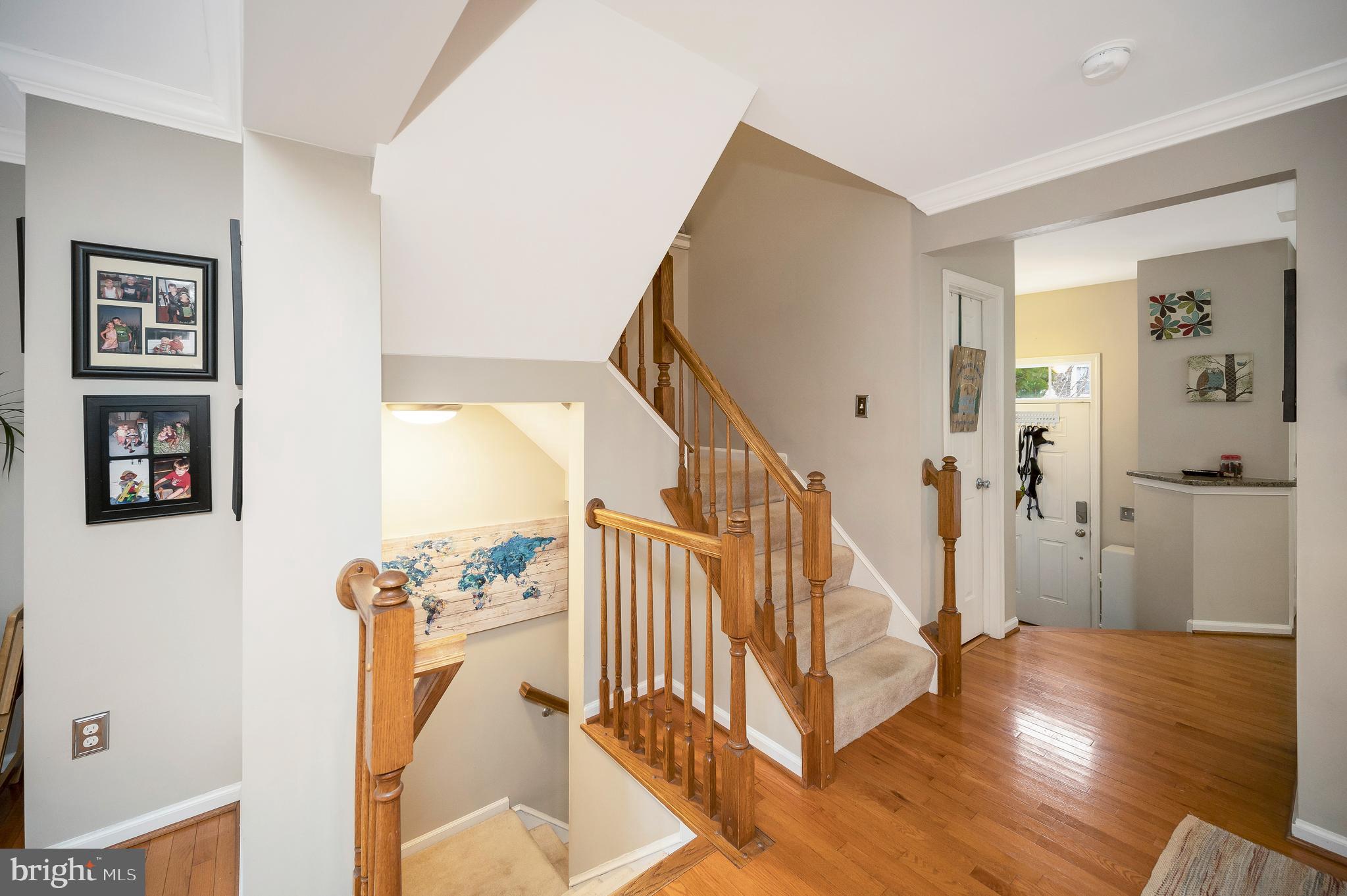 10169 Caladium Dr