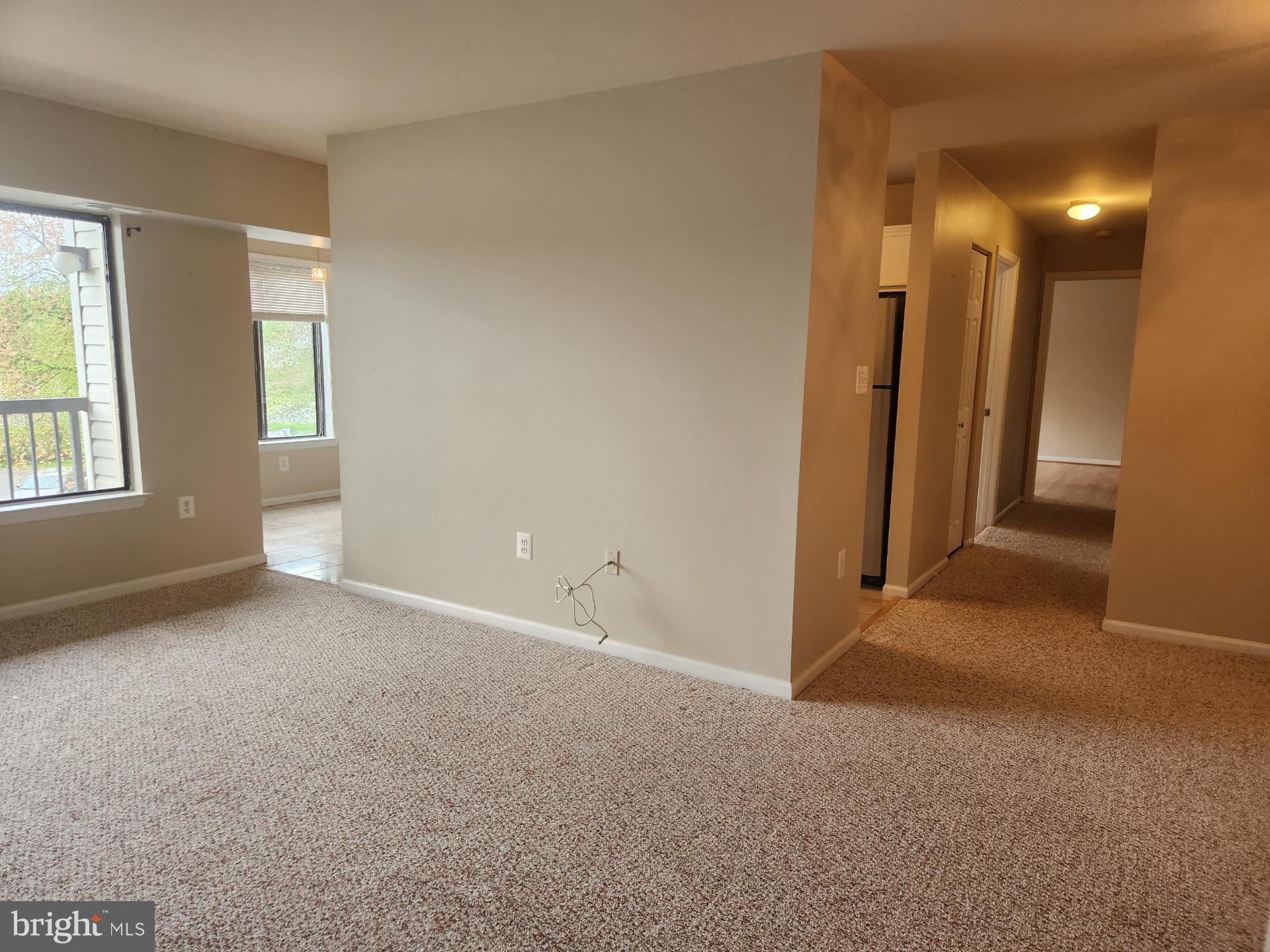 9569 COGGS BILL DR #301