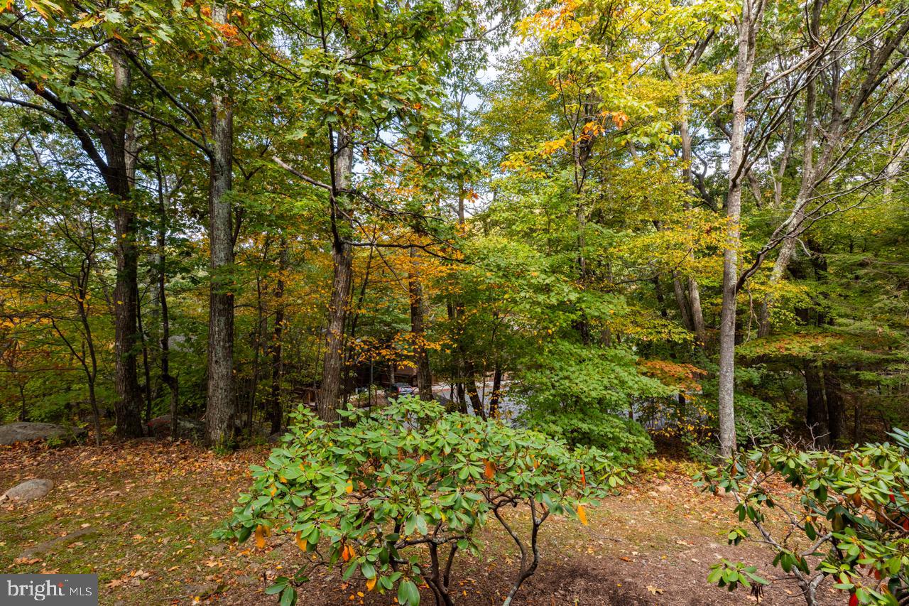 762 Laurelwood Unit: 762
