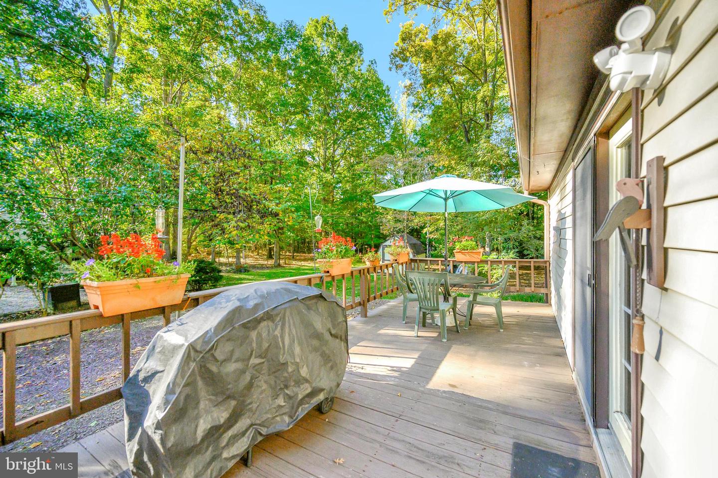 109 Tall Pines