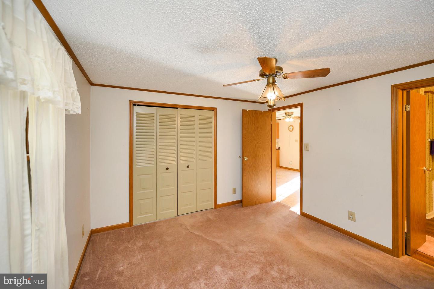 109 Tall Pines