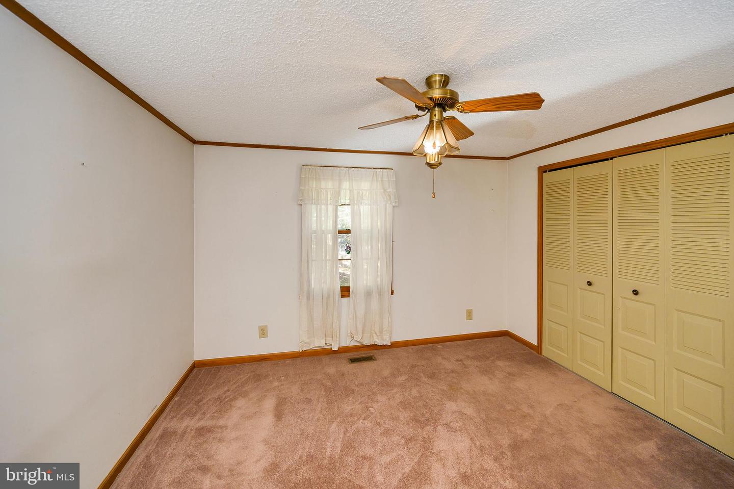 109 Tall Pines