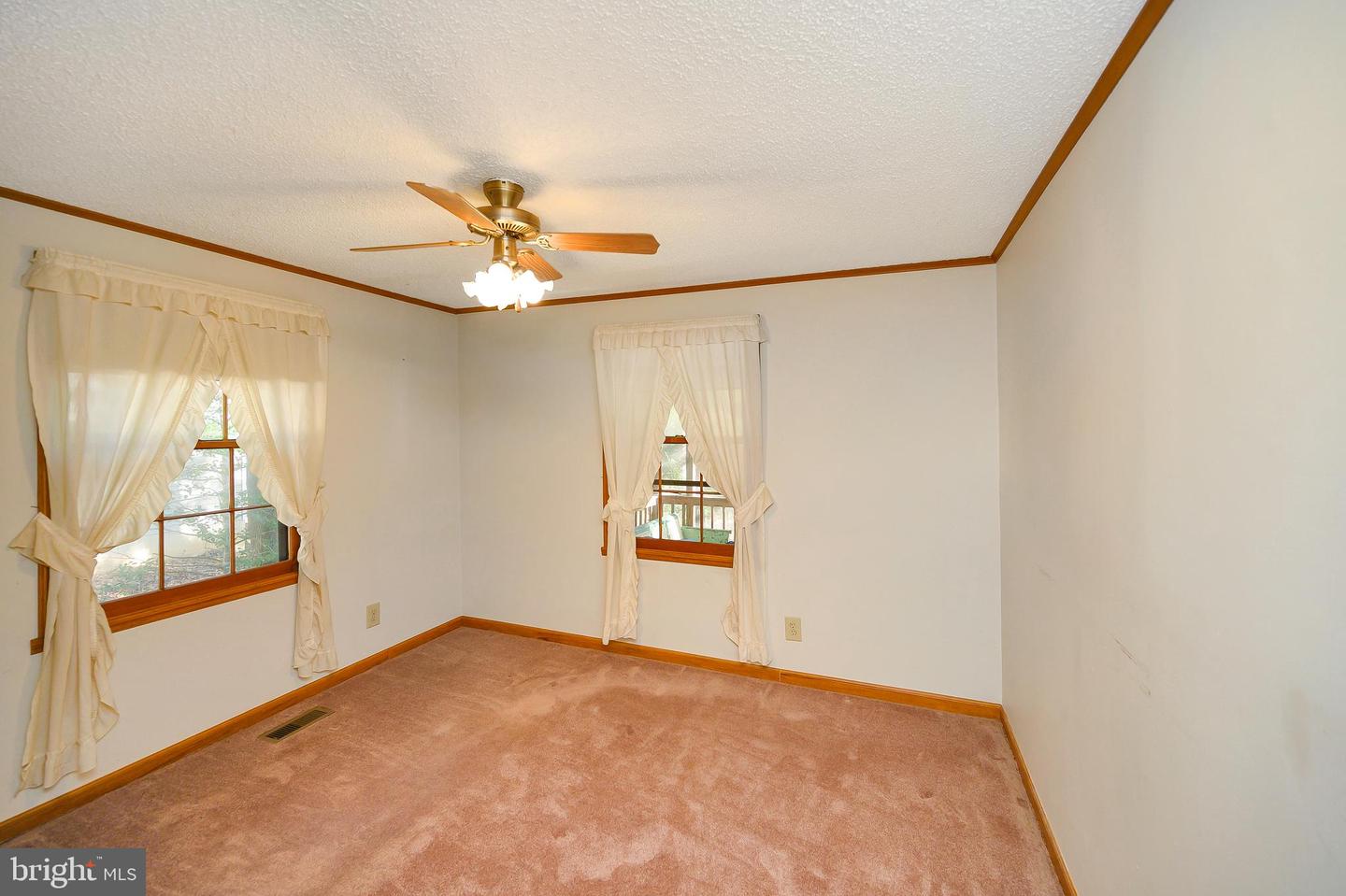 109 Tall Pines