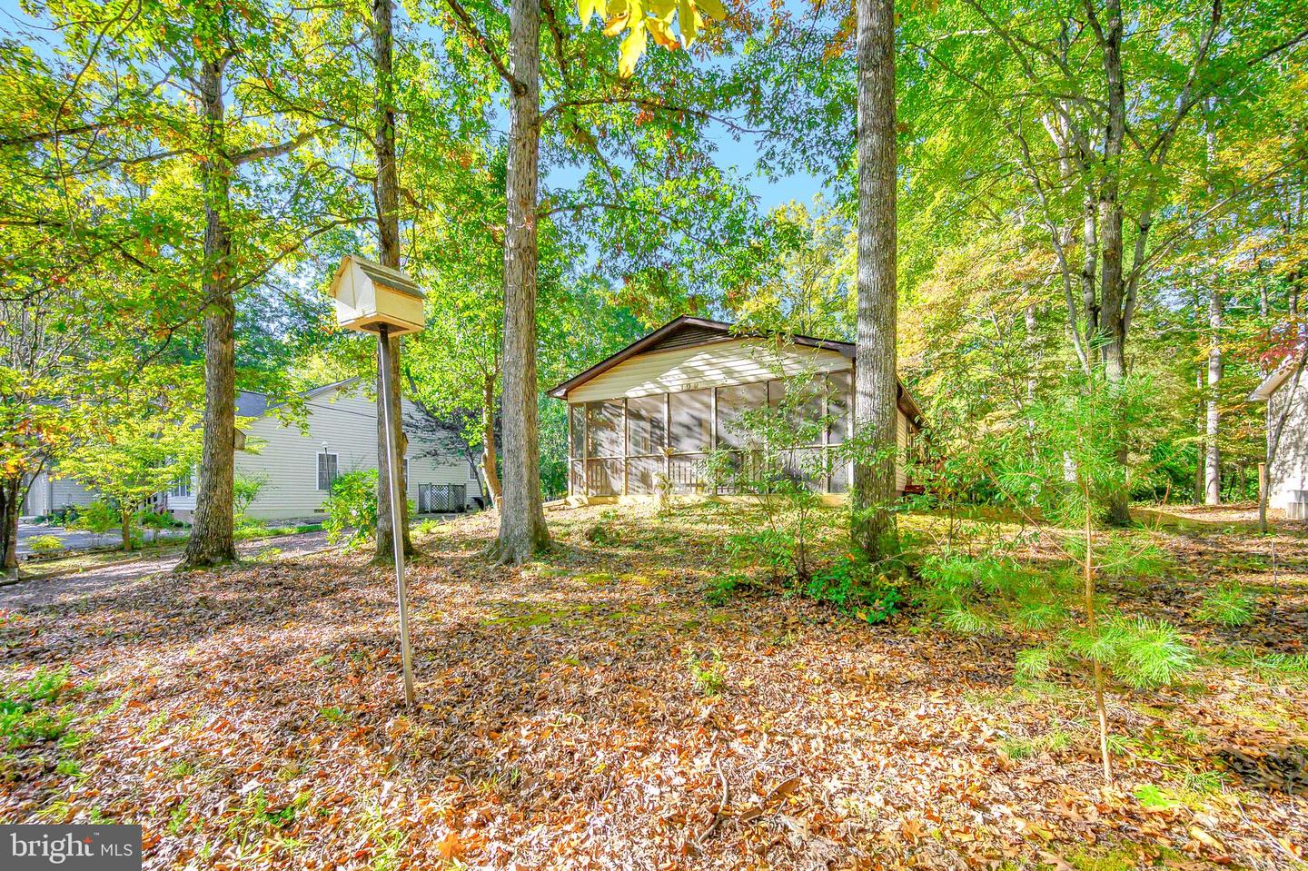 109 Tall Pines
