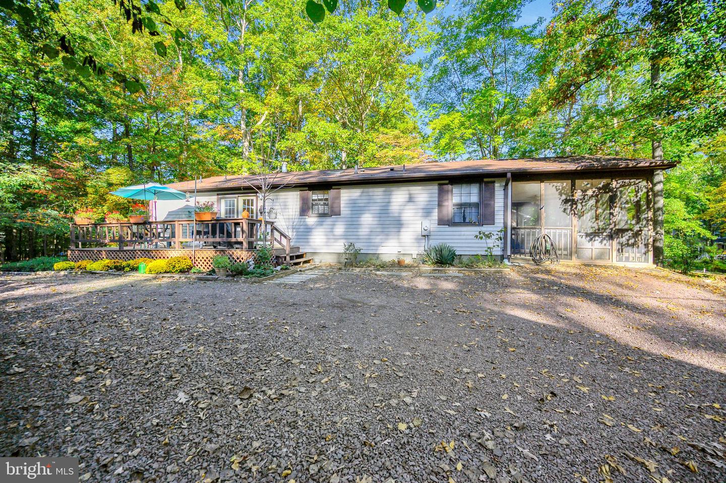 109 Tall Pines