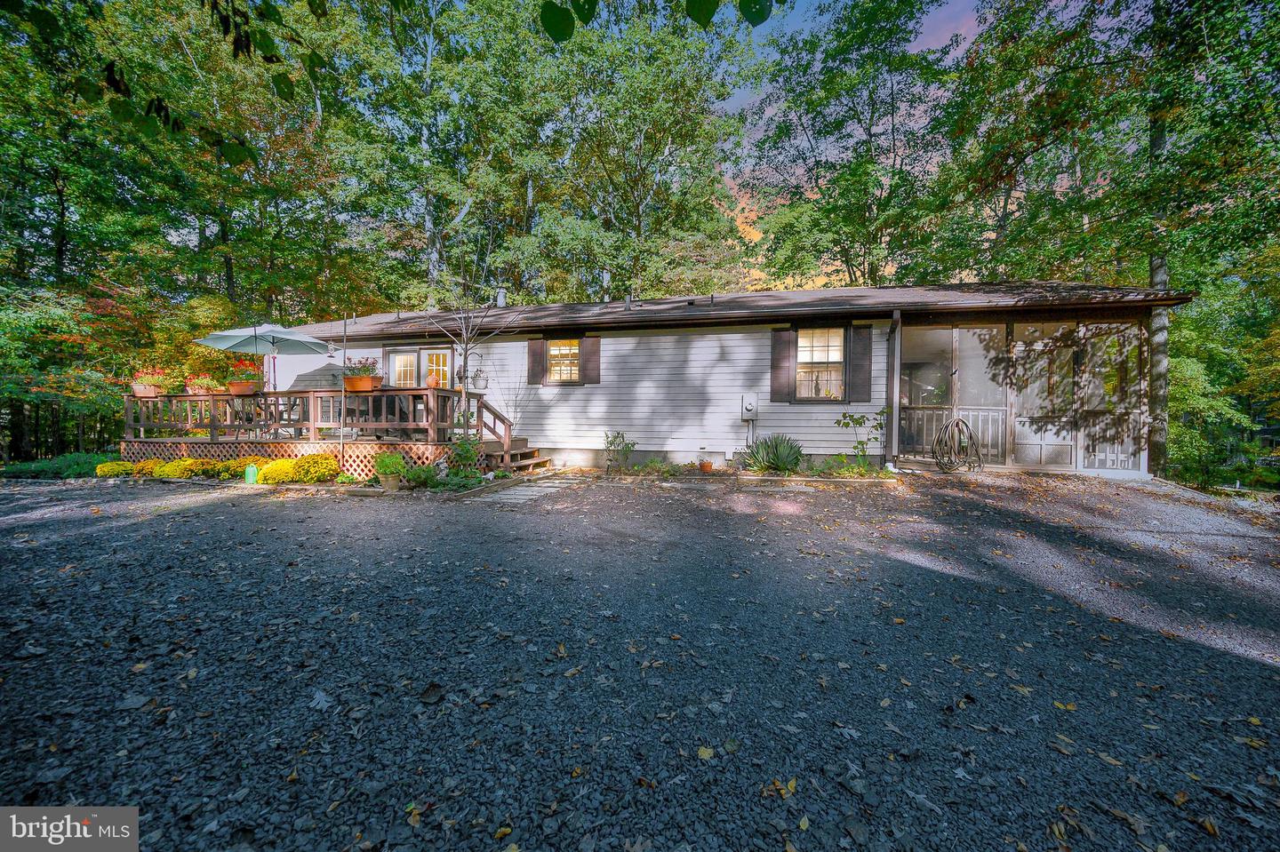 109 Tall Pines
