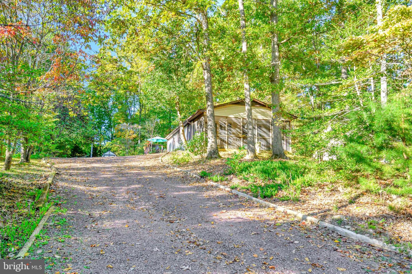 109 Tall Pines