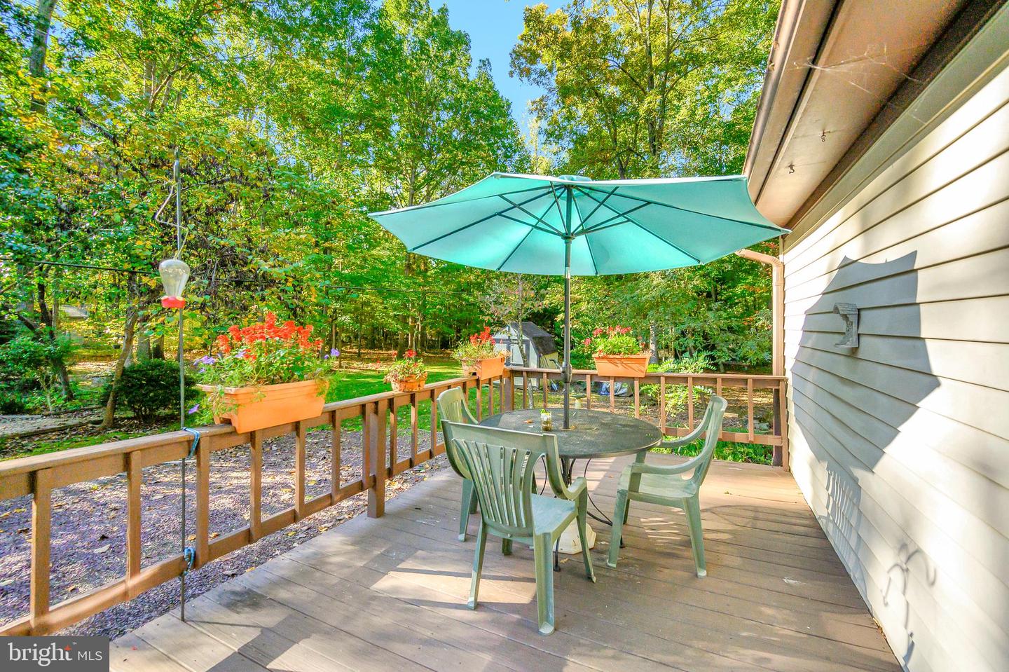 109 Tall Pines