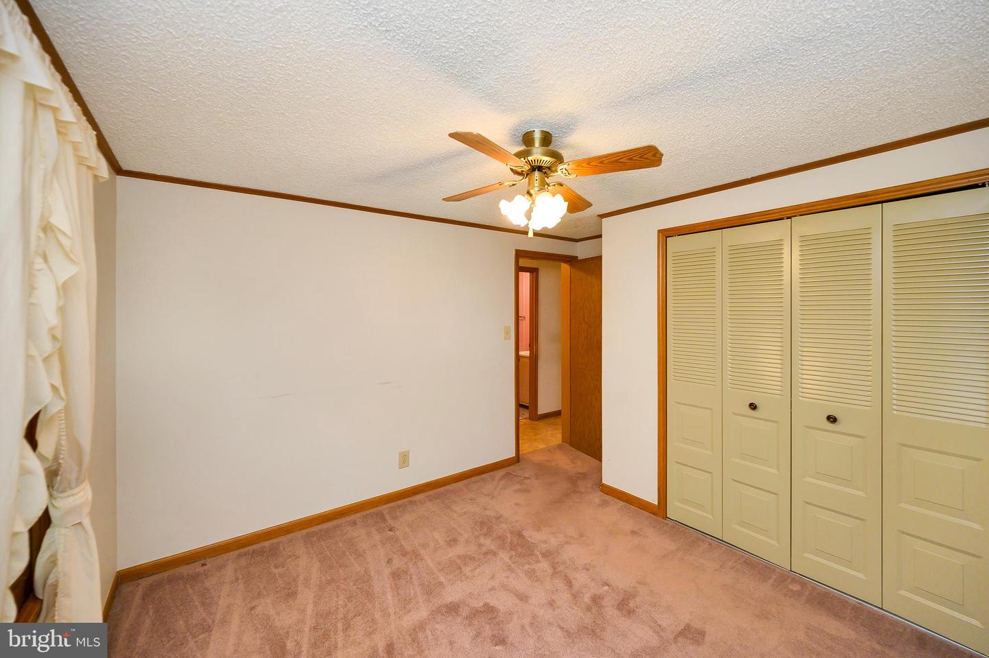 109 Tall Pines