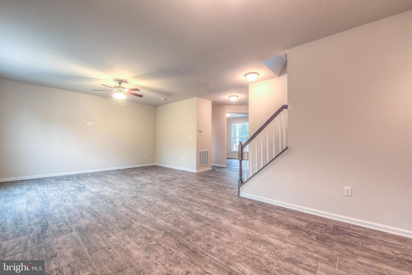 203 Wilderness LANE