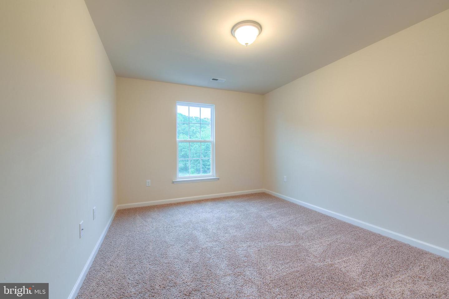 203 Wilderness LANE