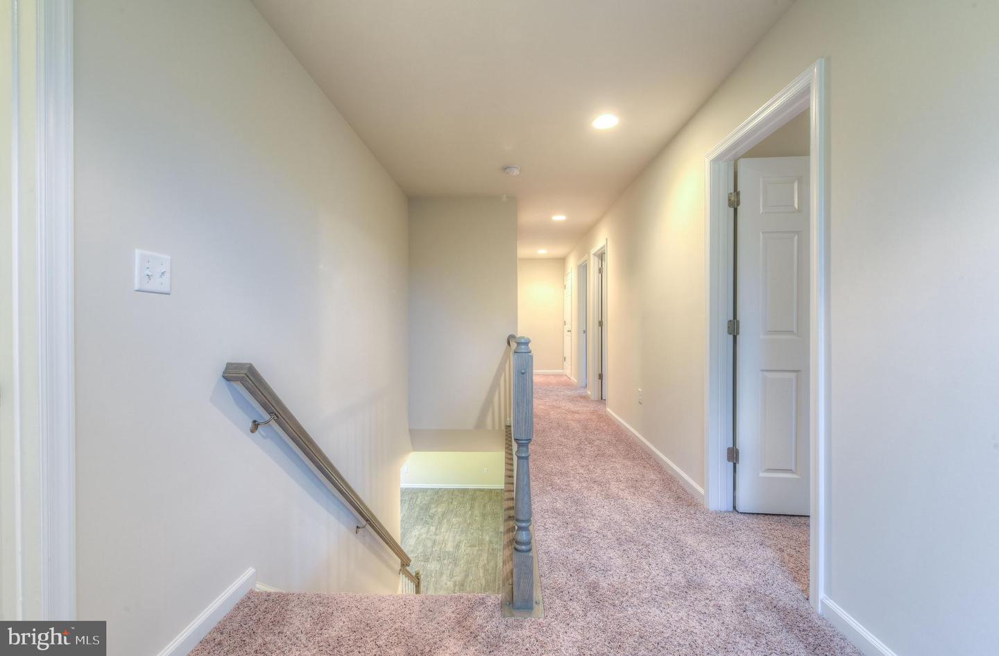 203 Wilderness LANE