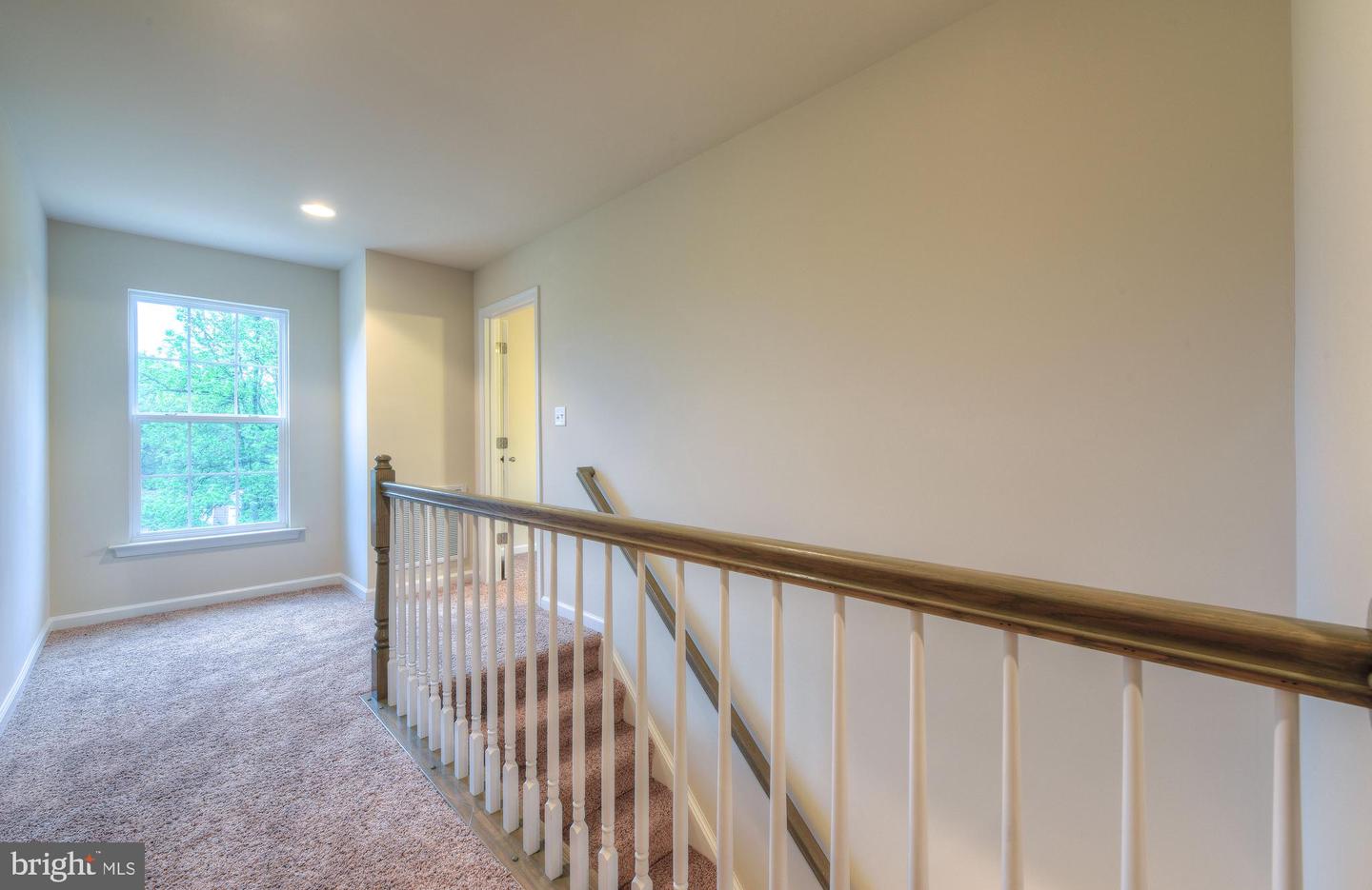203 Wilderness LANE