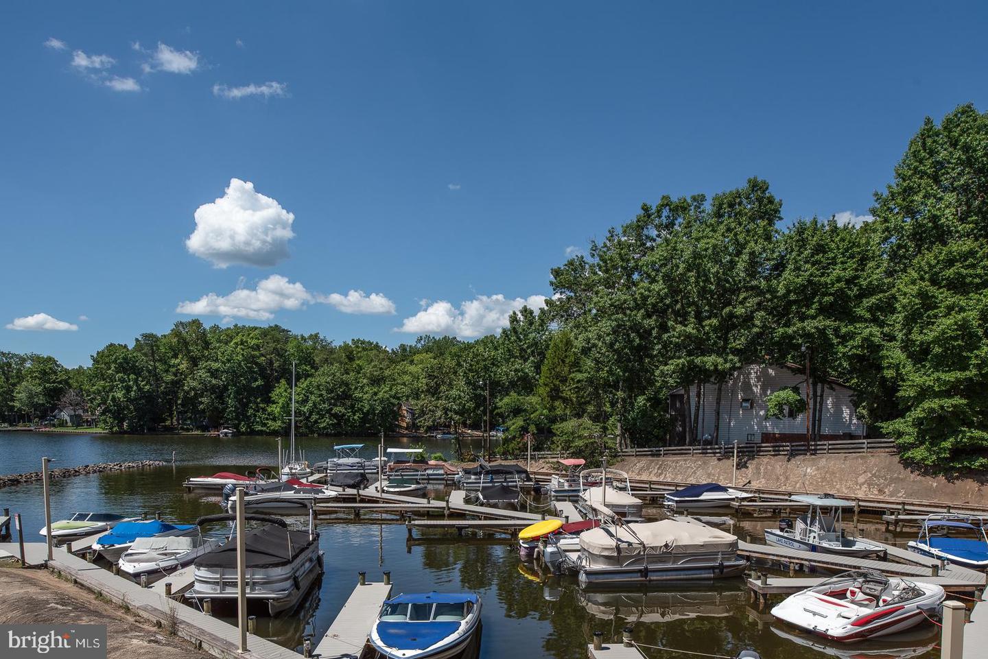 203 Wilderness LANE
