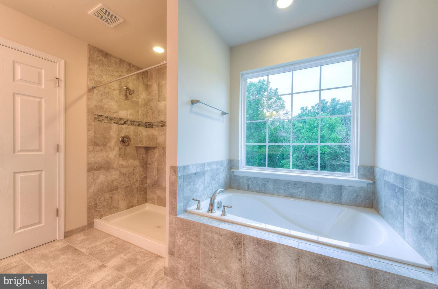203 Wilderness LANE