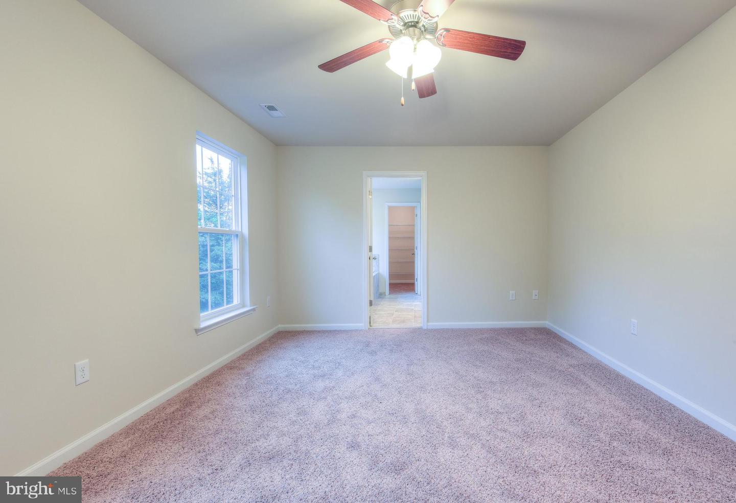 203 Wilderness LANE