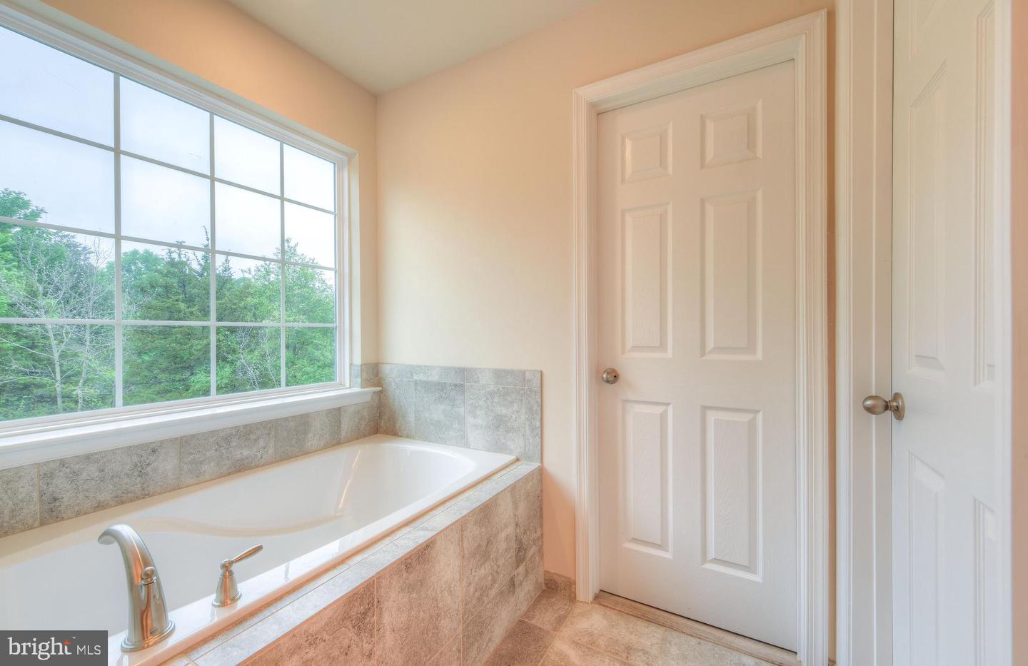 203 Wilderness LANE