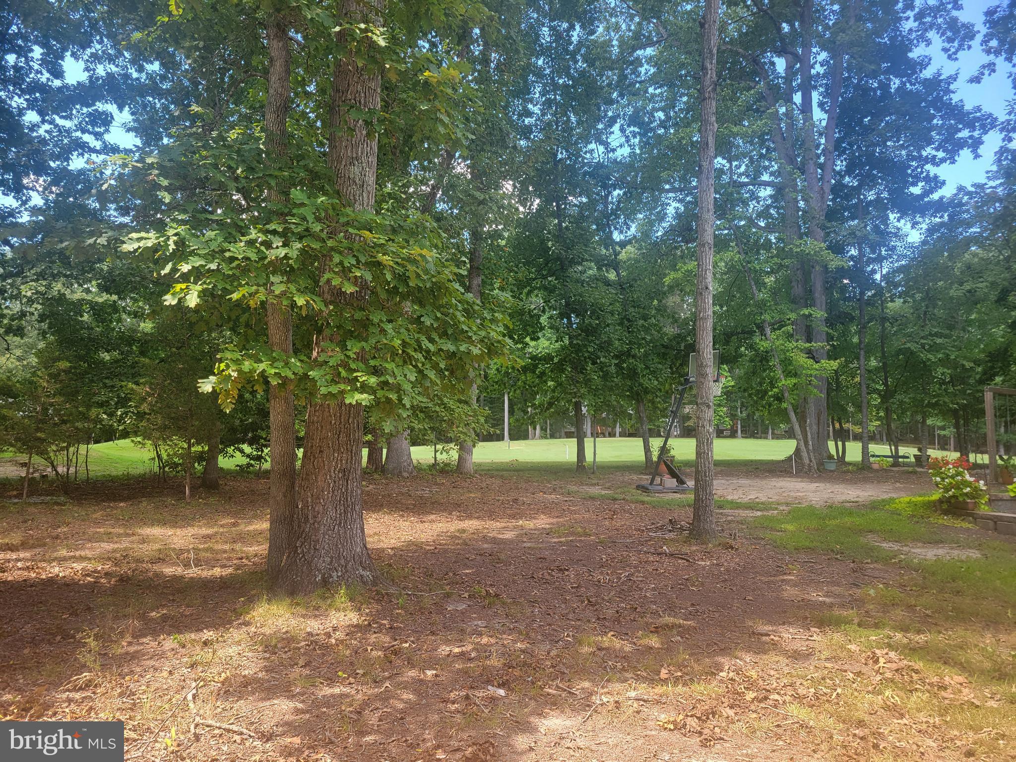 500 Birdie ROAD
