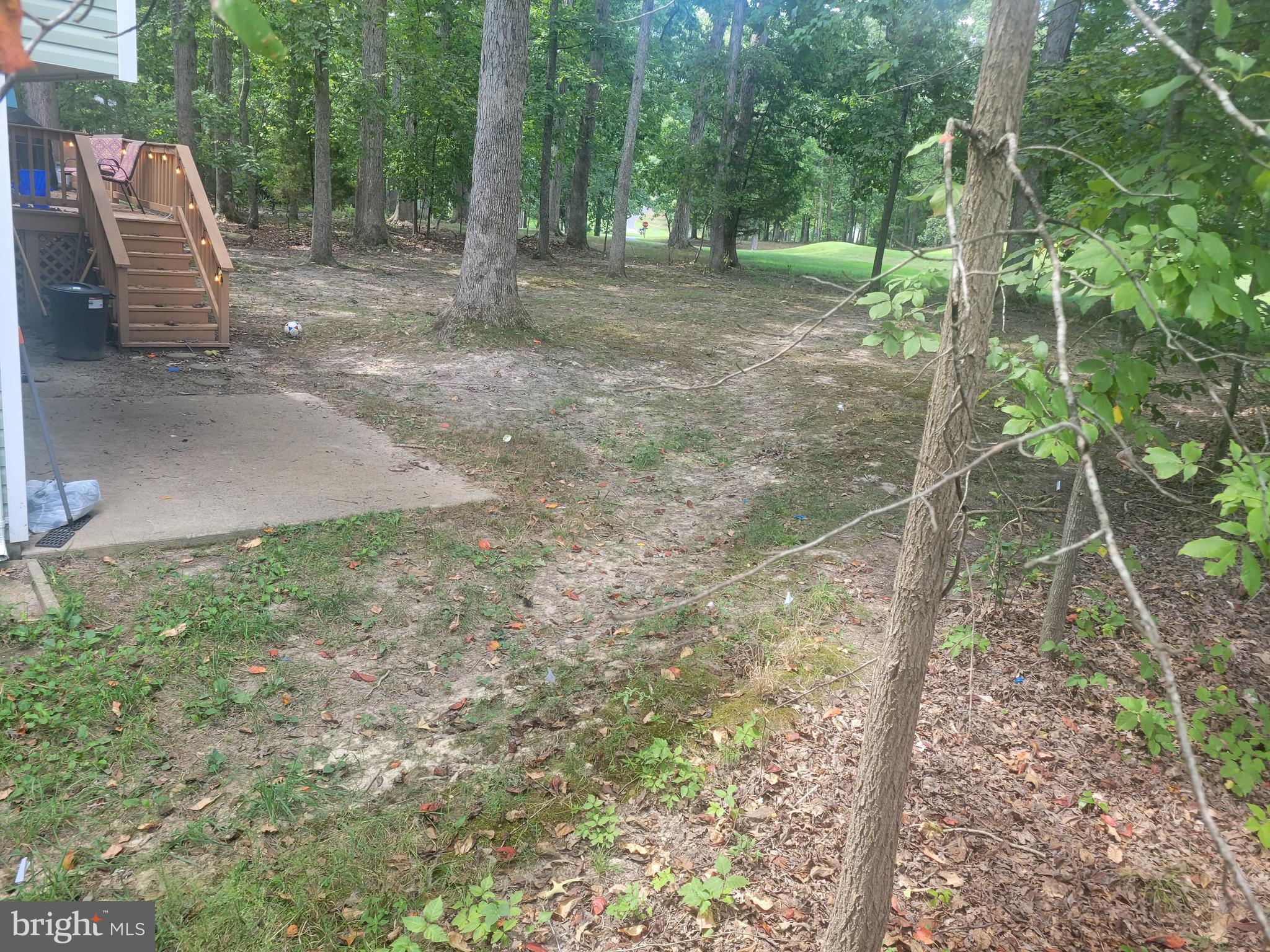 500 Birdie ROAD