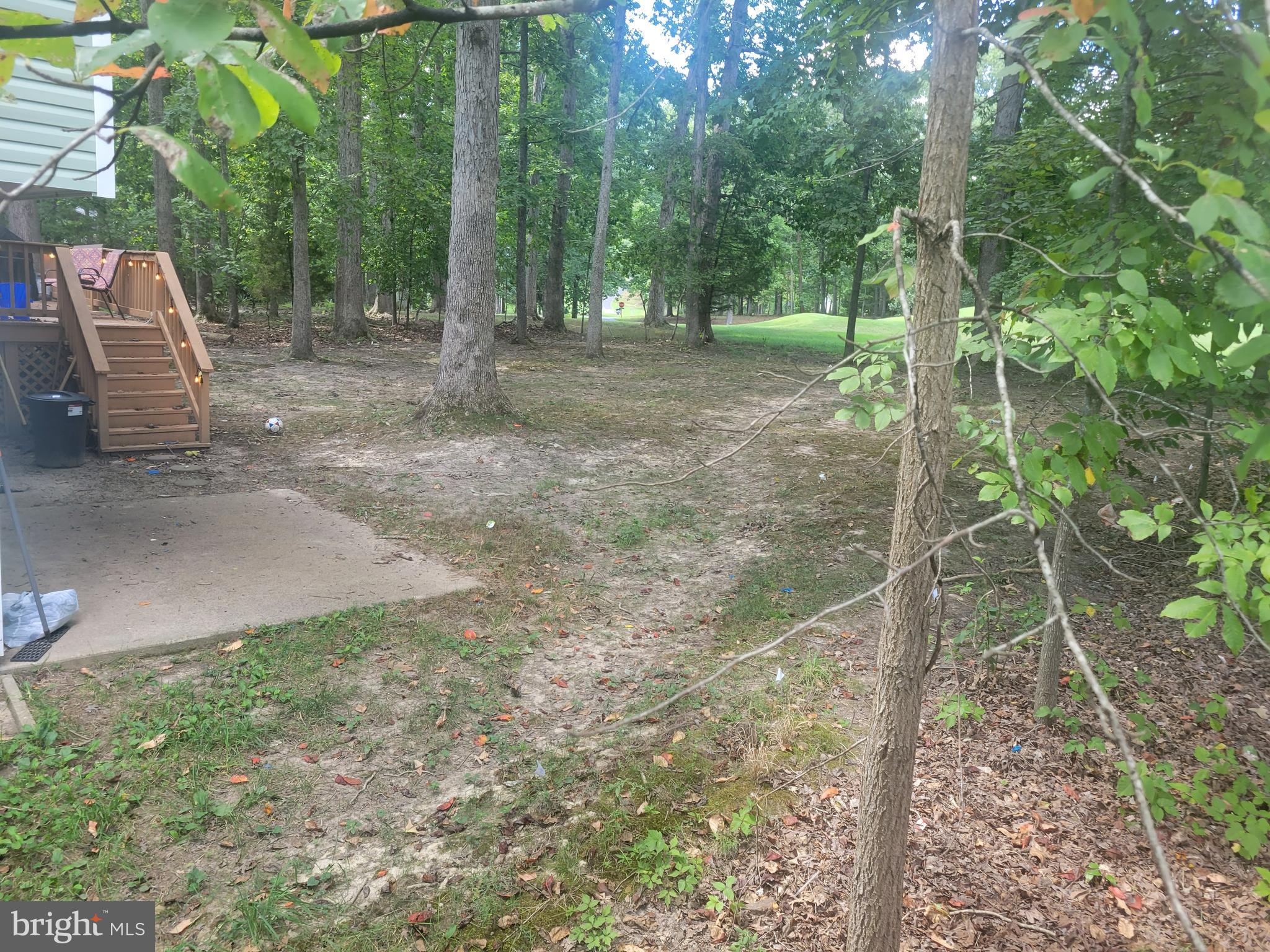 500 Birdie ROAD