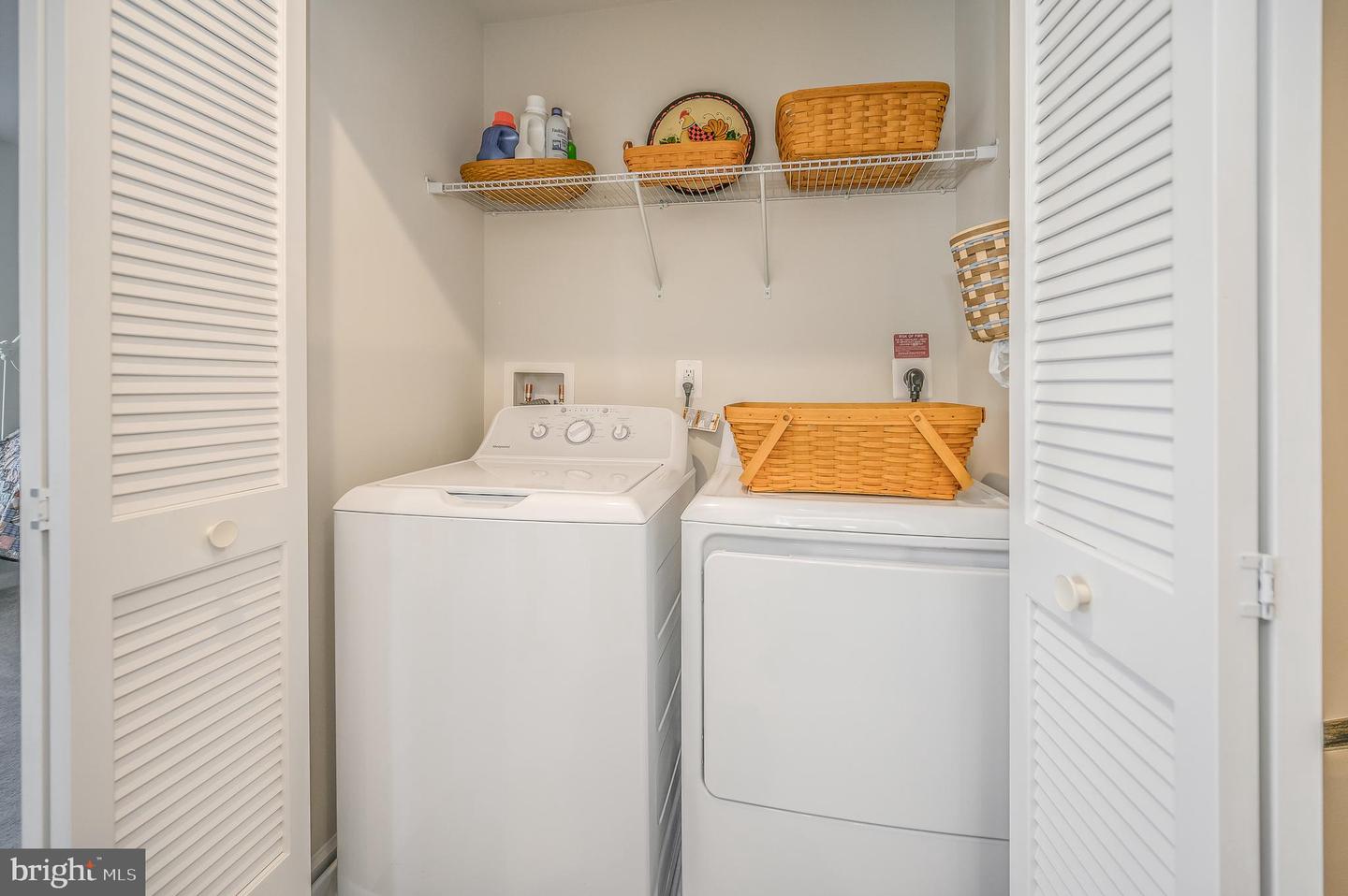 2736 Bears den DRIVE