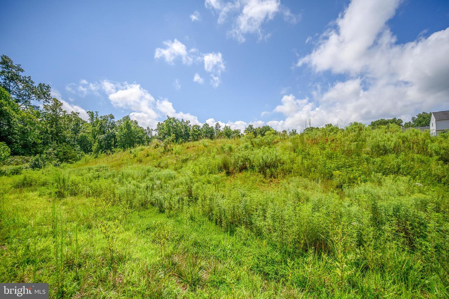 2736 Bears den DRIVE