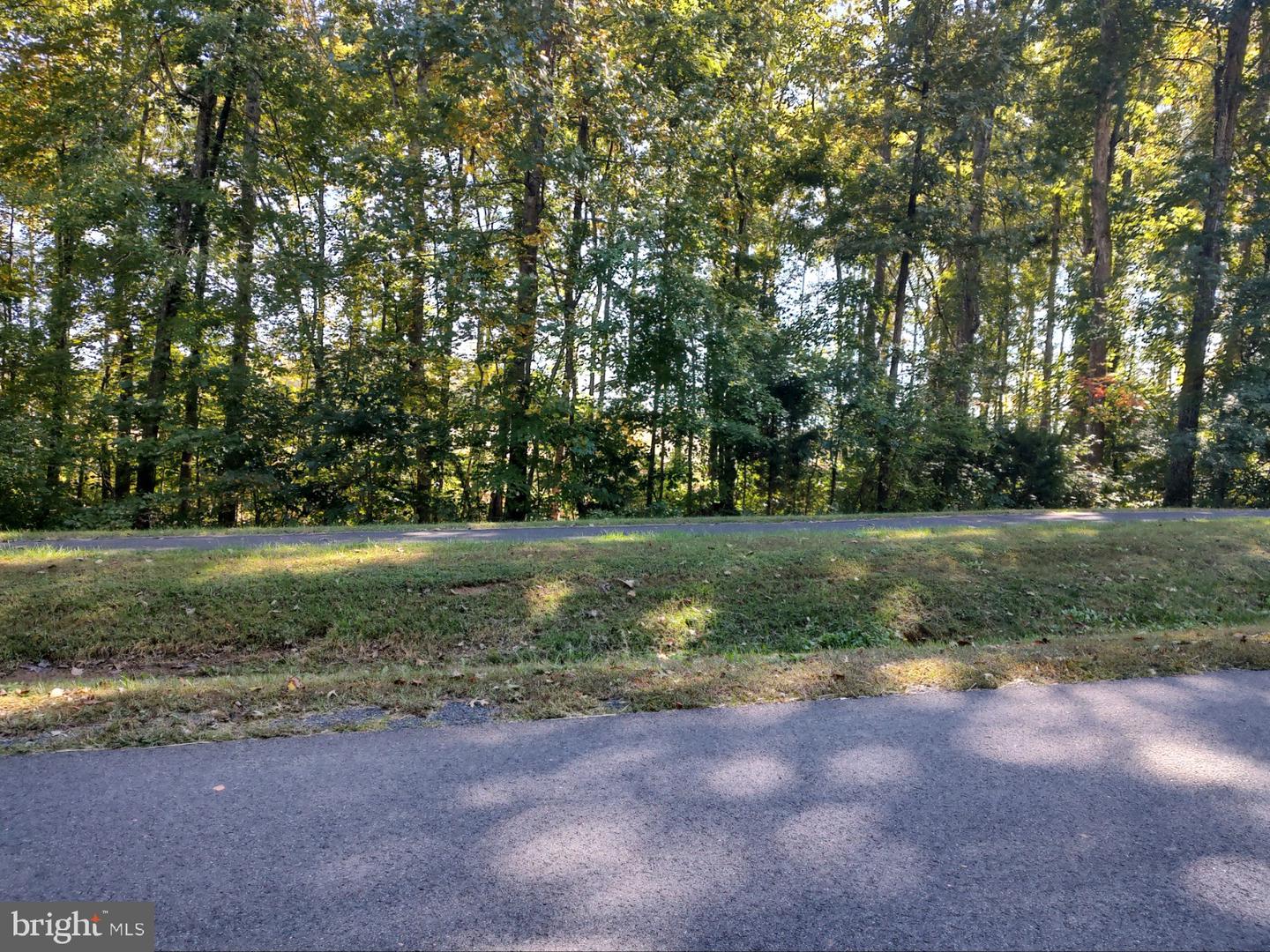 2358 Silver Fox WAY