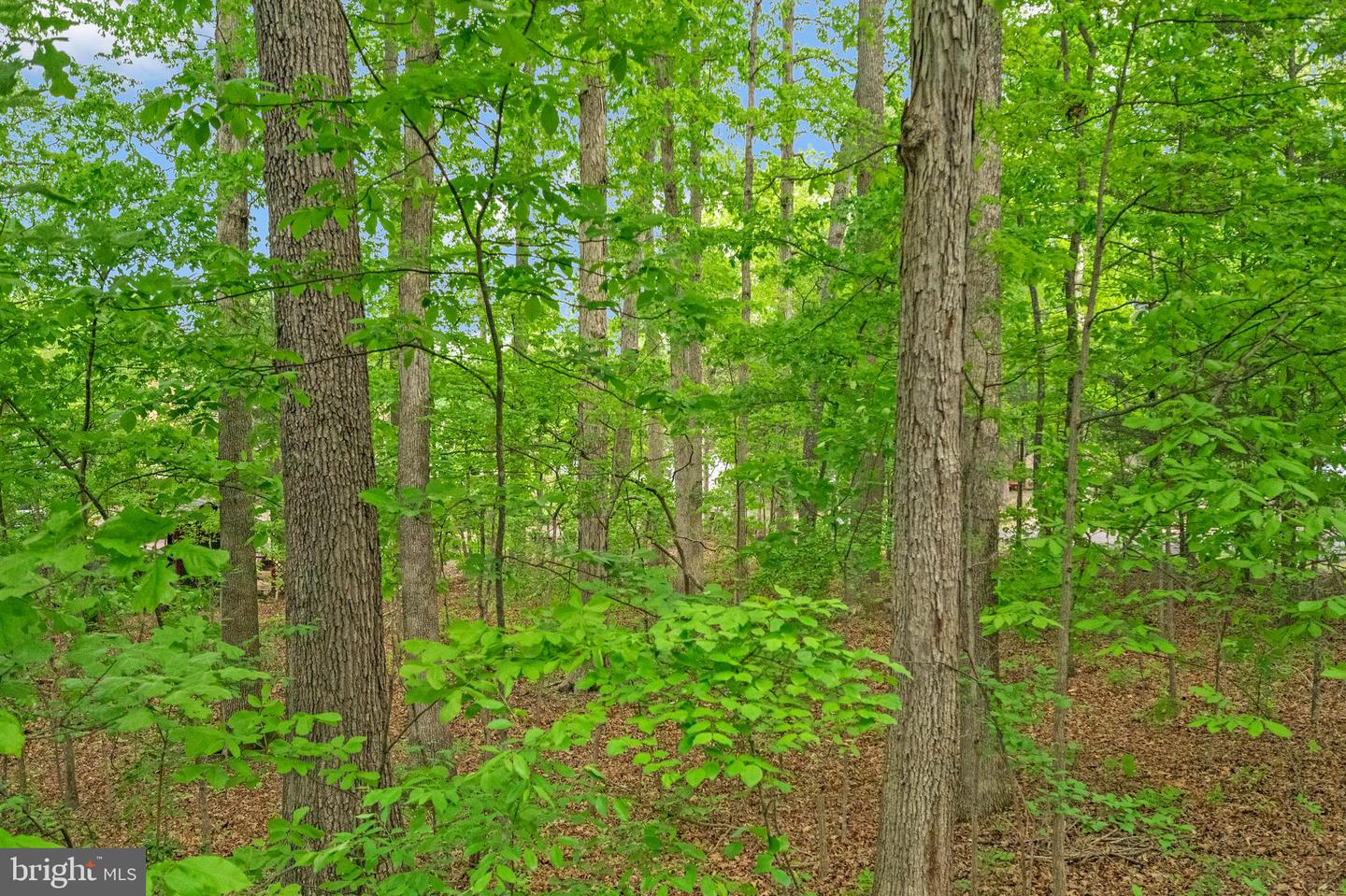103 Boxwood TRAIL