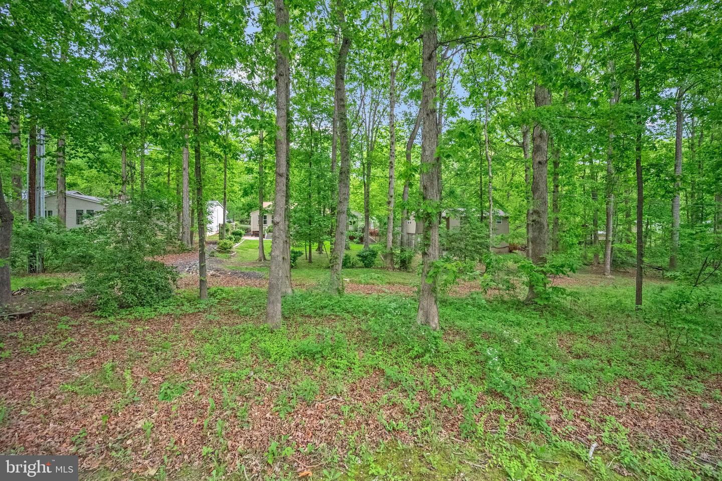 209 Birdie ROAD