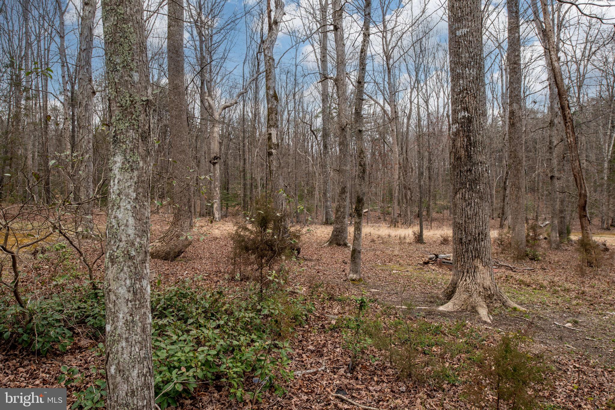 201 Monticello CIRCLE