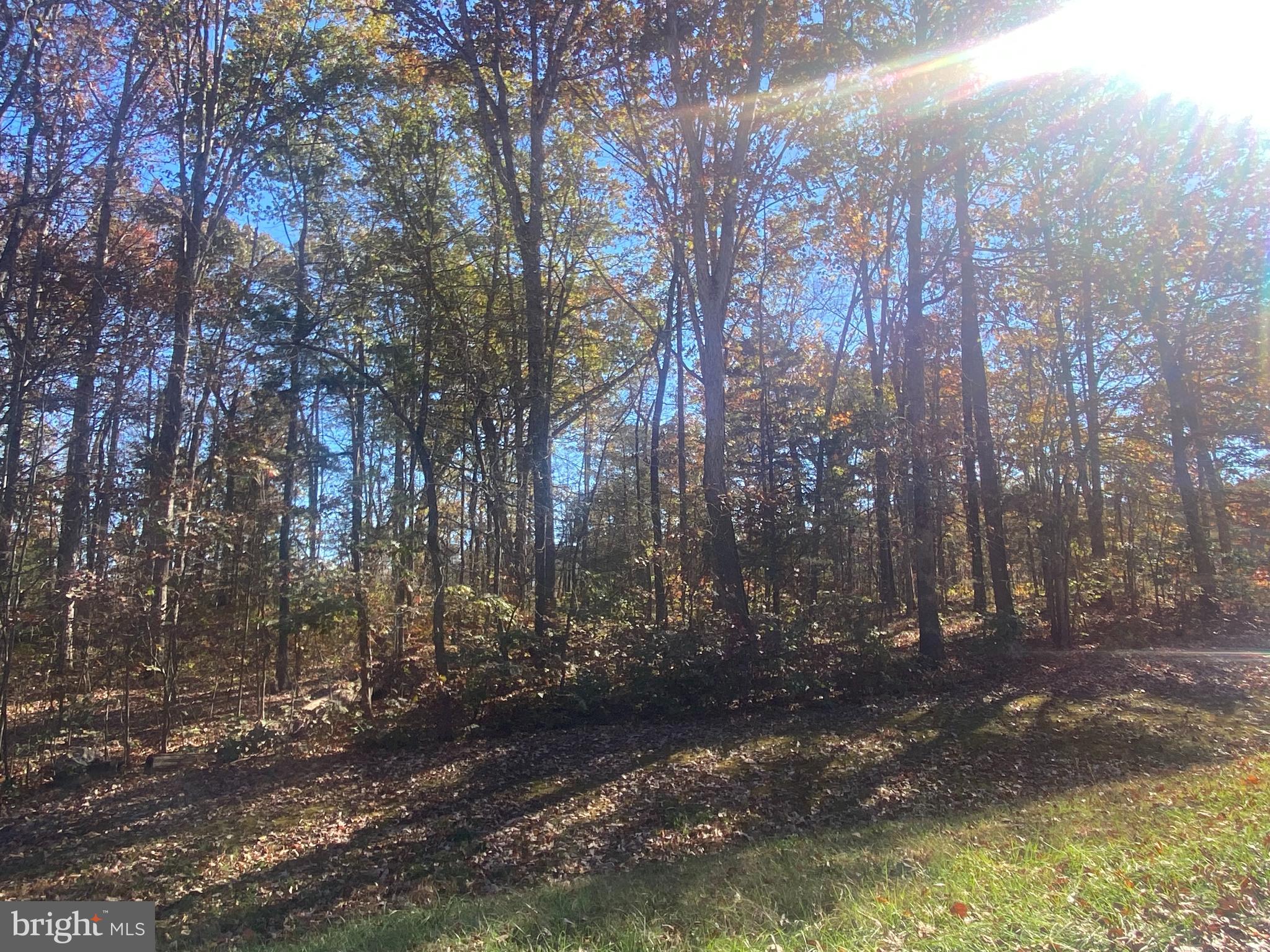 0 CORNFIELD LN