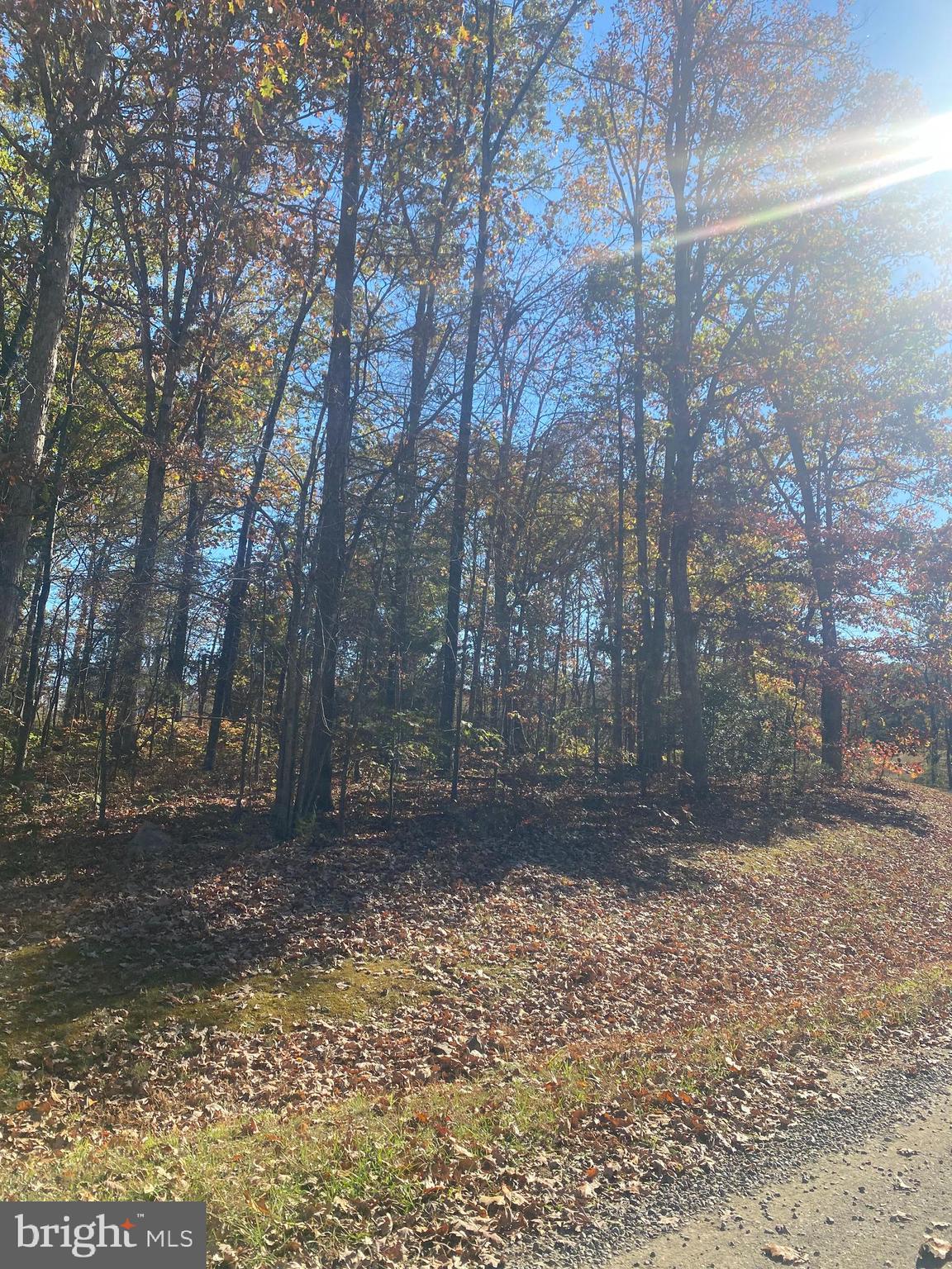 0 CORNFIELD LN