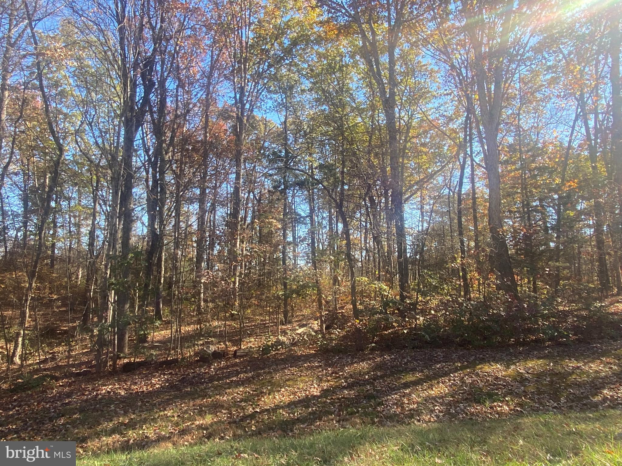 0 CORNFIELD LN