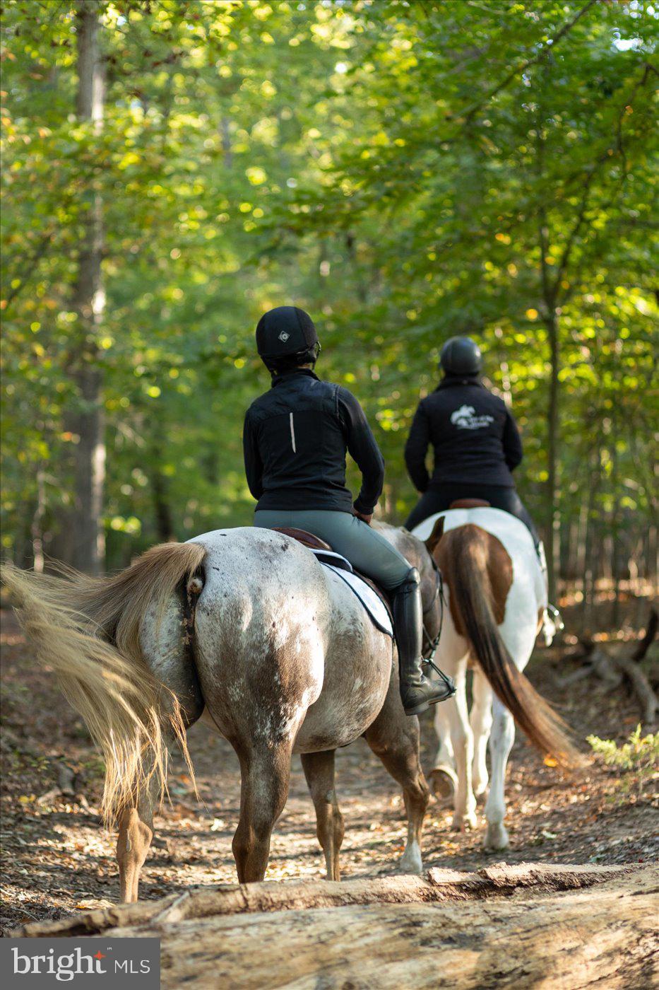 910 CONFEDERATE DRIVE