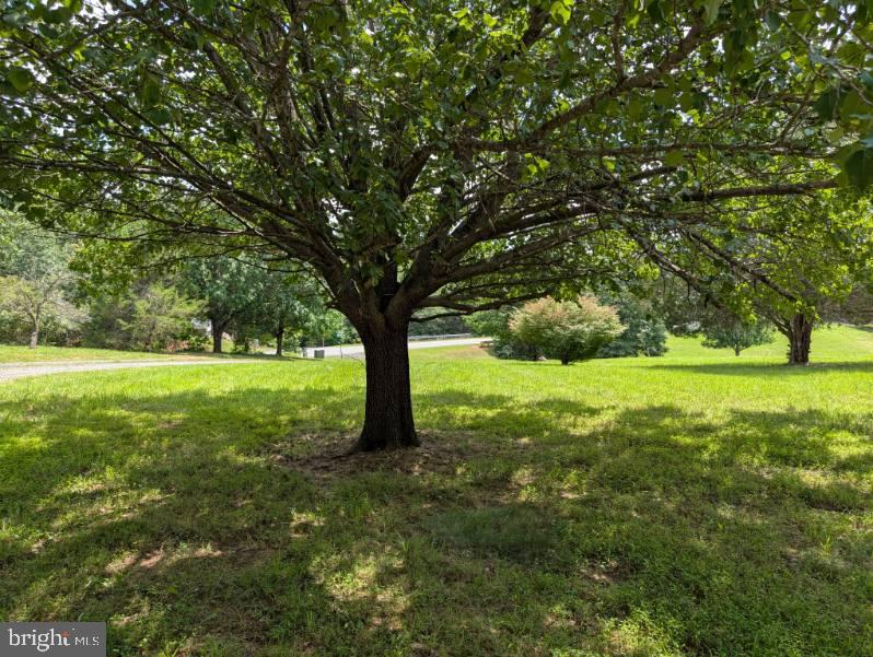 3856 Rapidan Hills Dr
