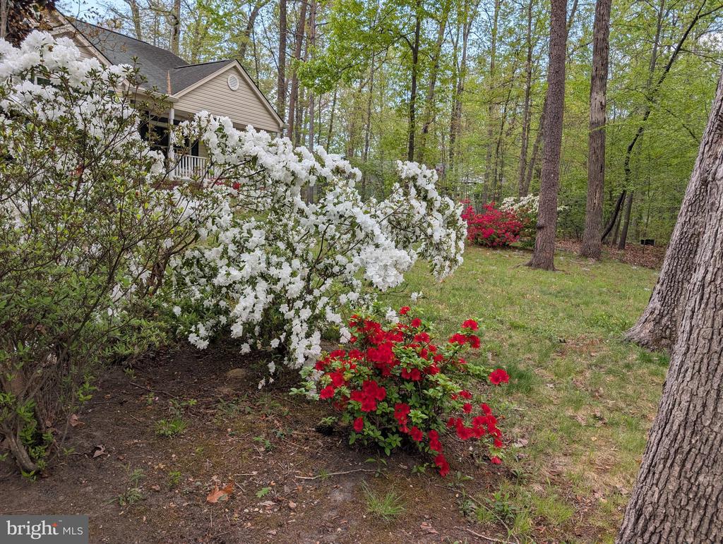 317 Edgehill Dr
