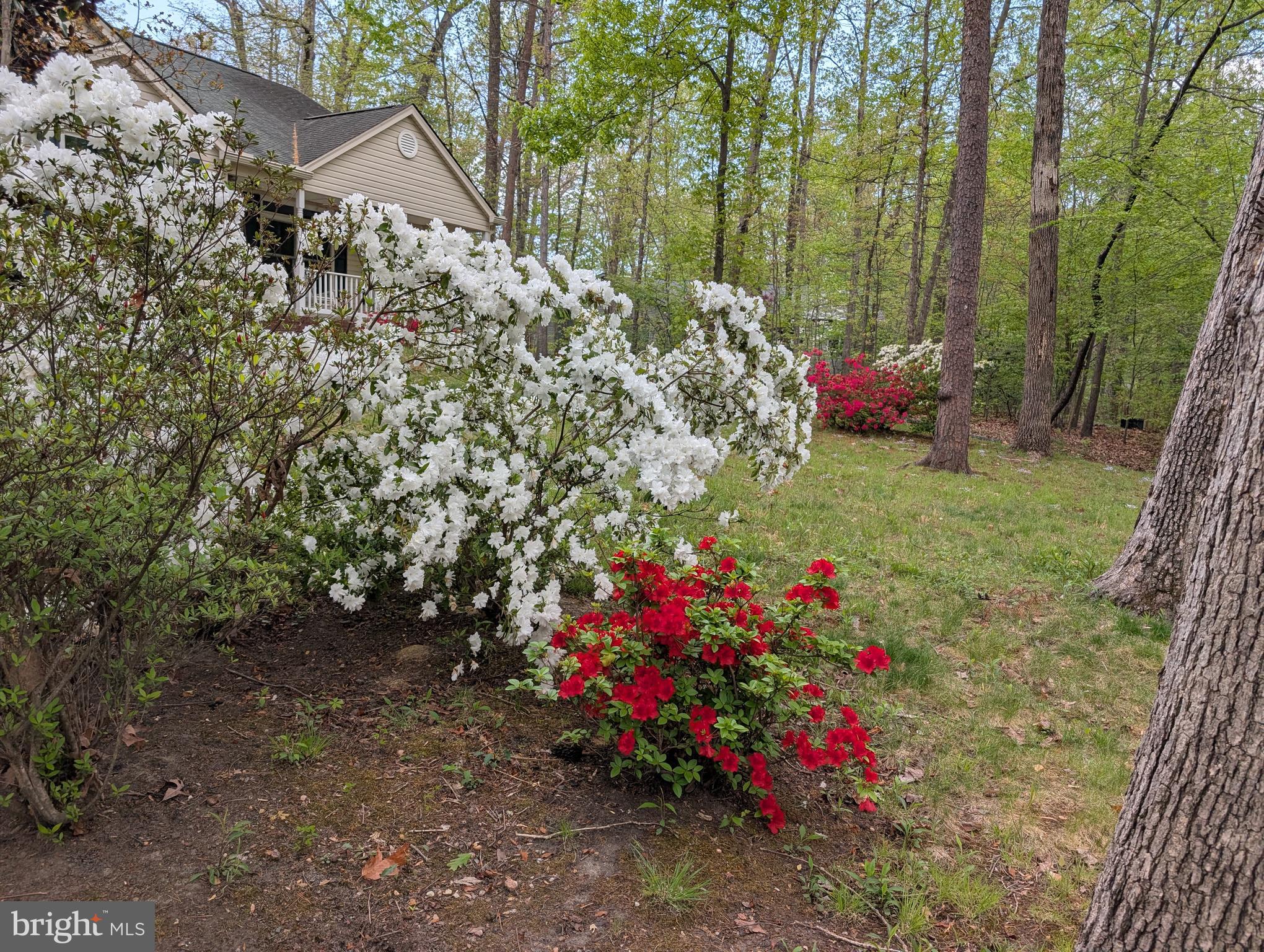 317 Edgehill Dr