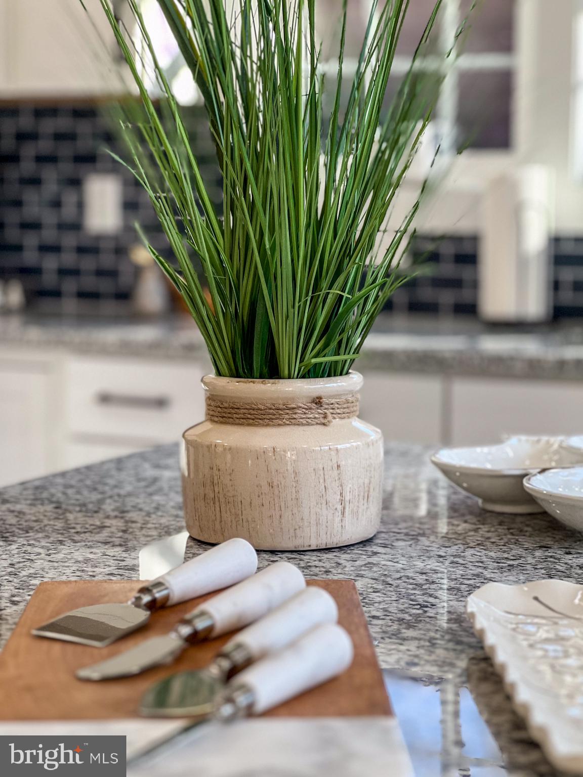 121 BIRCHSIDE CIRCLE