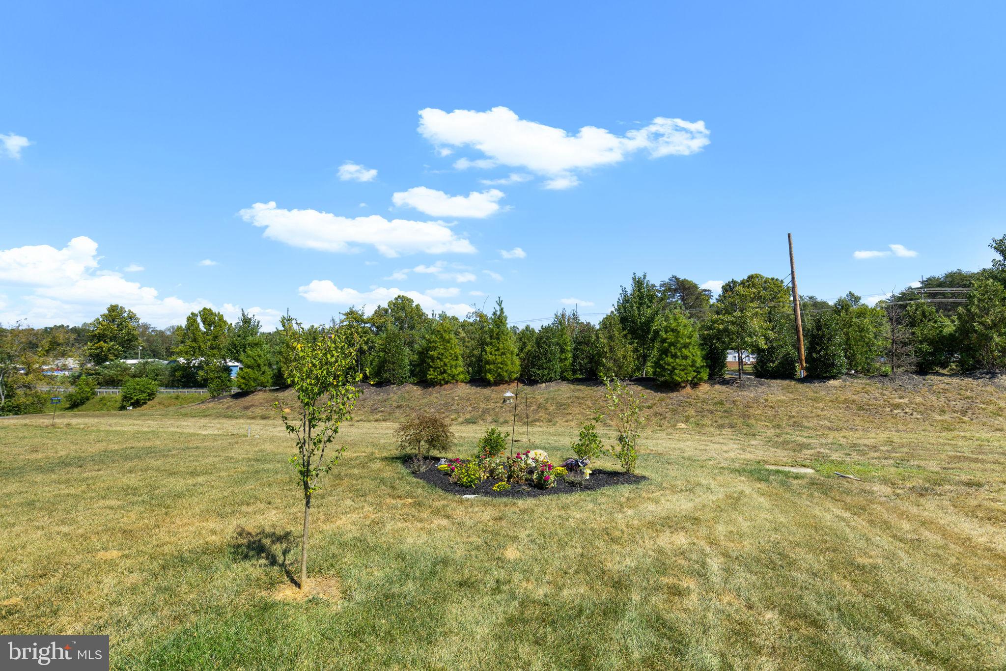 35049 MANSOURS DRIVE