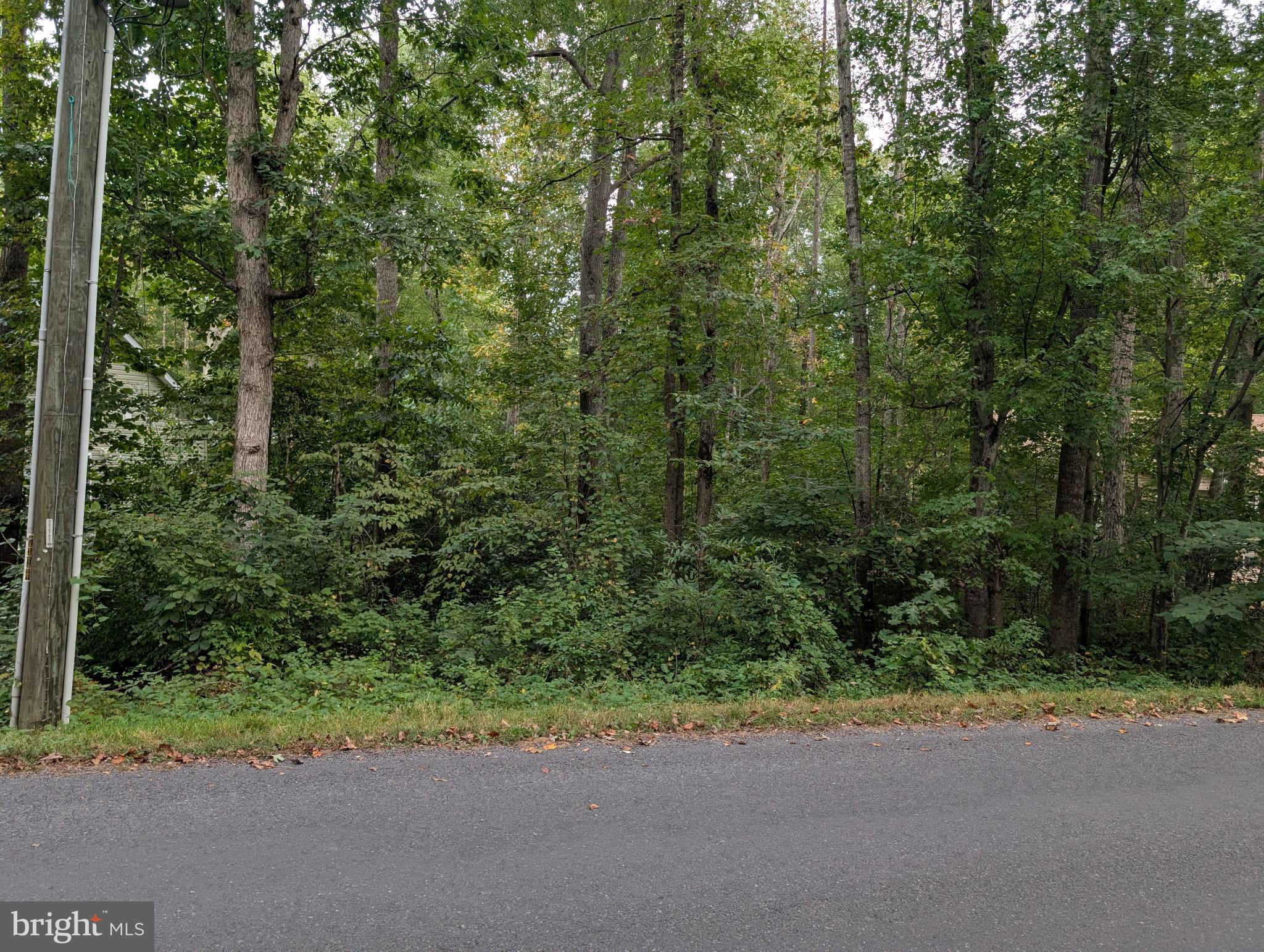 203 BATTLEFIELD ROAD