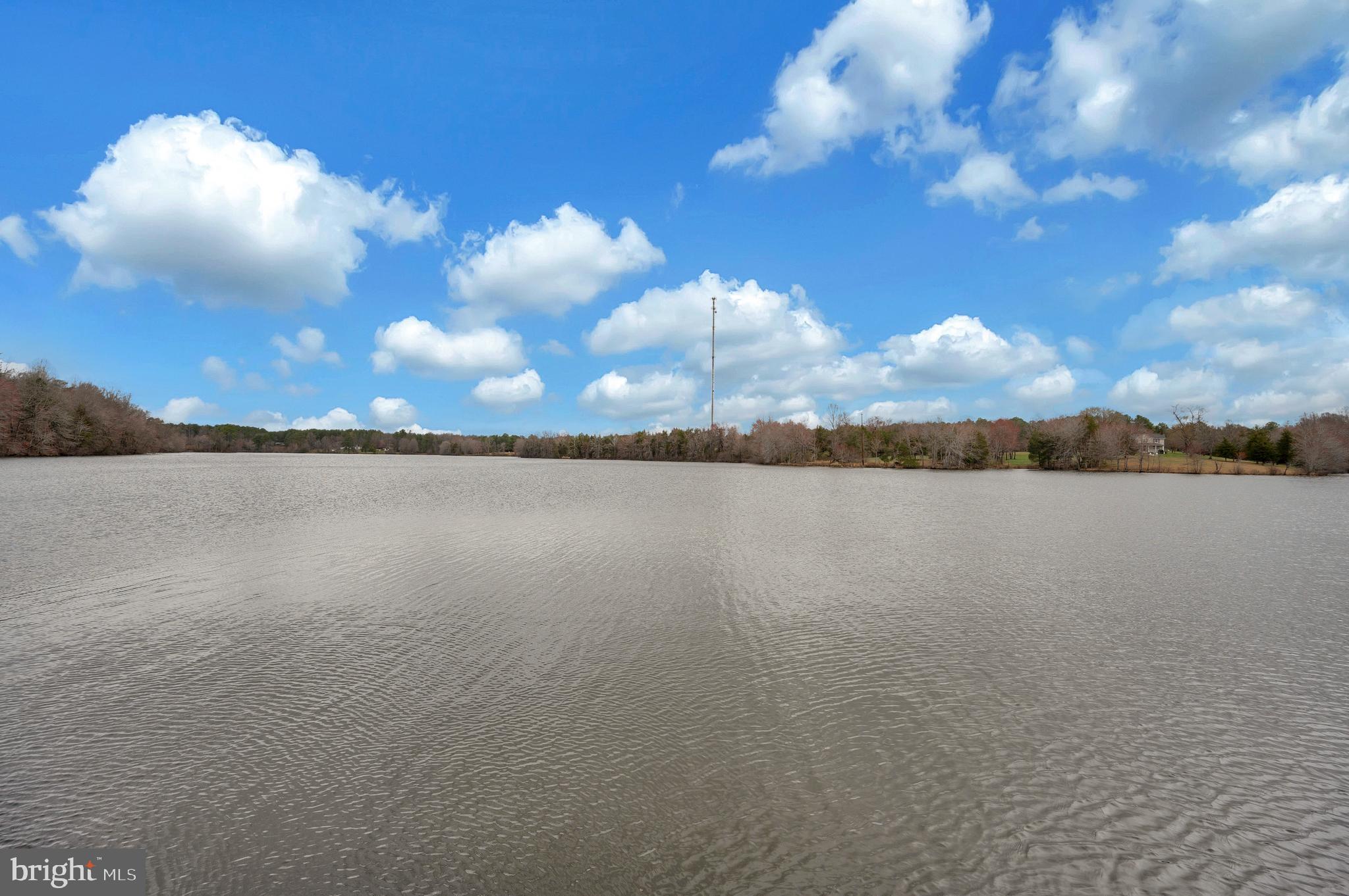 19493 LAKE ORANGE ROAD