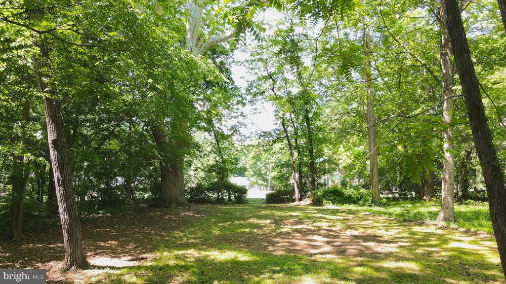 216 SPOTSWOOD ROAD