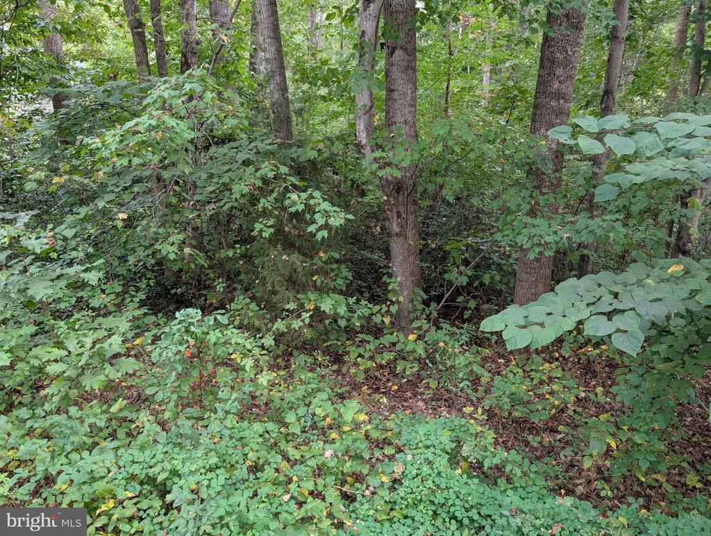 203 BATTLEFIELD ROAD